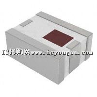 2450BP39C100BEDƬ